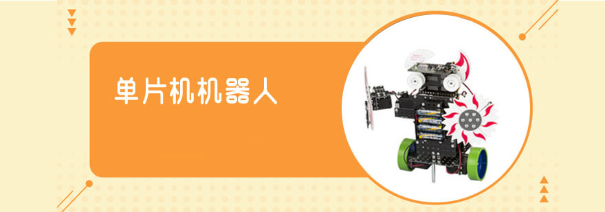 ��Ƭ����������ѵ�γ�