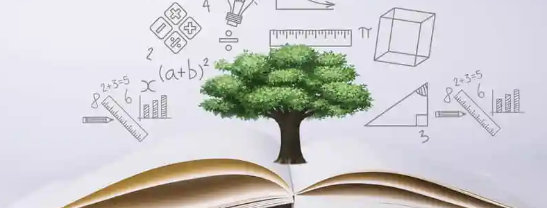 �ӱ����п�����ѵѧУ