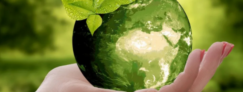 ̼�ŷŹ���ʦ֤��������