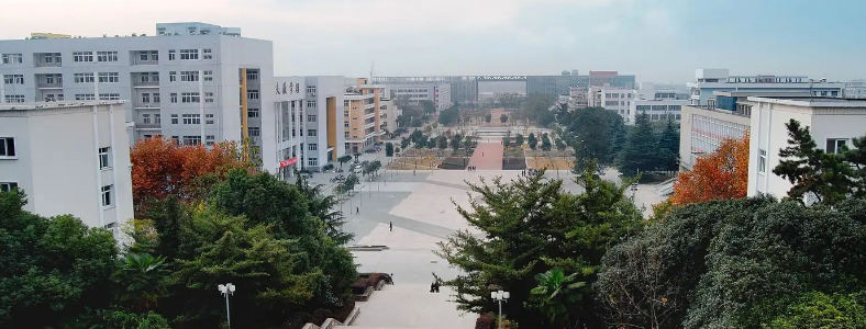 ũѧר˶���п�Ŀ����Щ