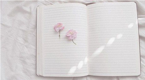 ����������ѵ����ô׼������Ӣ���Ķ�