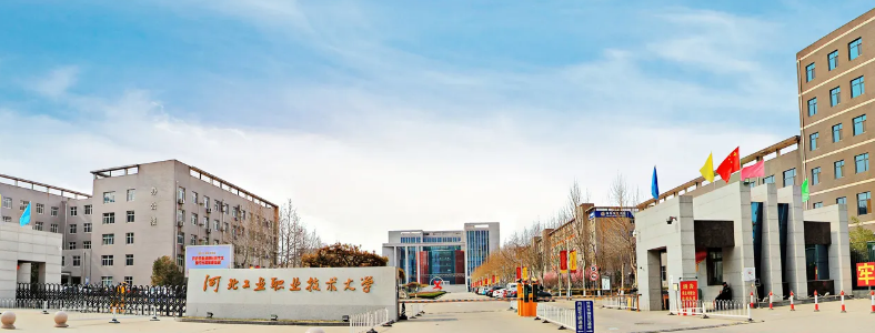 �ӱ���ְ����ʮ����