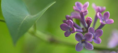 ����ѧ��ҵǰ����ô��