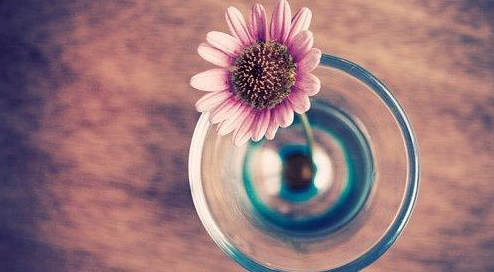 ����ѧרҵδ����ҵ������ô��