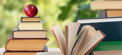 2023ɽ������ͳ��ʱ��