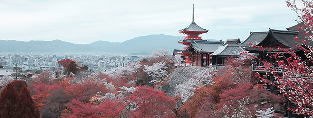 �ɶ���ѧ����Ӣ����ѧ��¼ȡ��׼��ʲô