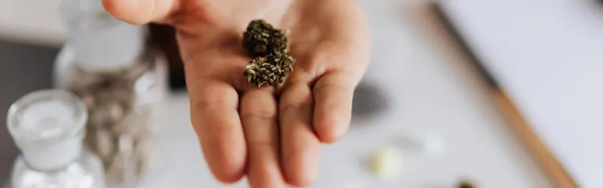 22��ִҵҩʦ�ʸ��Կ�Ŀ��ʱ�䰲��