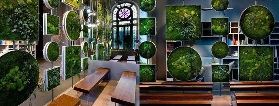 ��ɽ���������ѵ�����̻������Ҫ�˽�ʲô