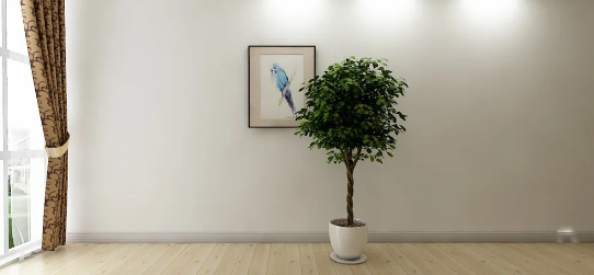 ��ɽѧƽ����Ƶļ�������Щ