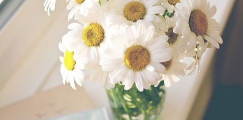 Ů���ʺ�ѧ����ѧ��