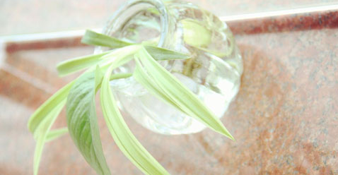 ��ʿ���Ա���ִҵҩʦ������