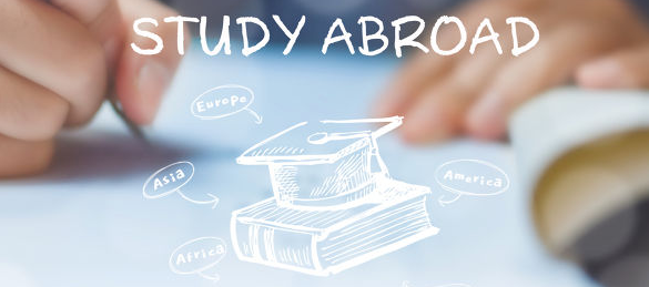 �ɶ���ѧ��ѵ���ô���ѧ��ѧ��������Щ