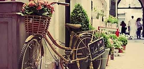 �ɶ���ѧ��ѵ����������ѧǩ֤�ɷ��������