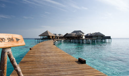 �ɶ���ѧ��ѵ��������������ѧǩ֤����