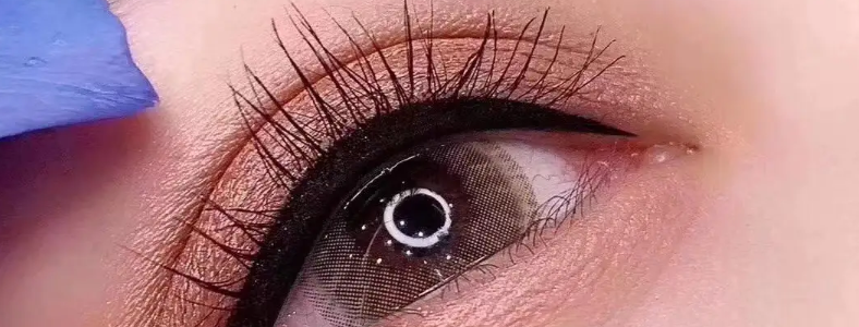 ������������ѵ�۸�