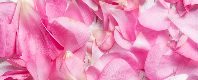 ������ѯʦ֤�鱨�����������