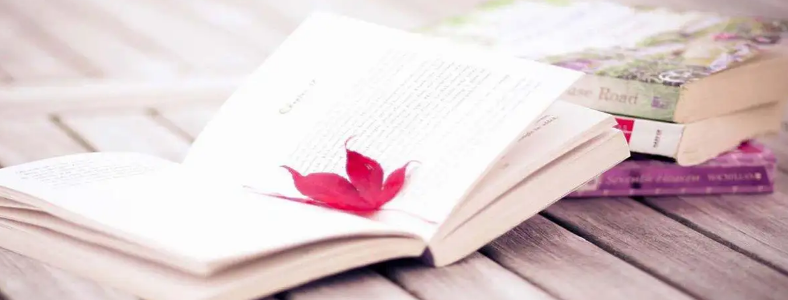 �������Ļ��ο�ʲô��Ŀ