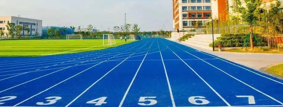 ʯ��ׯsat��ѵsat���Գɼ����������