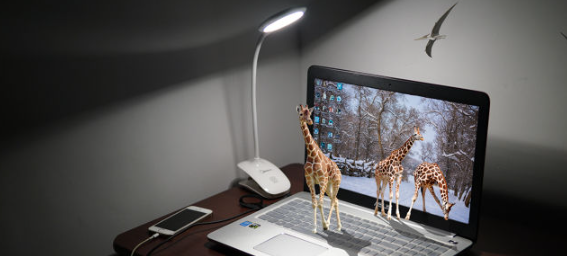 �ɶ���ѧ��ѵȥӢ����ѧͬʱ���뼸��ѧУ�ȽϺ�