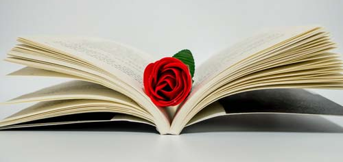 ʯ��ׯѧSAT��ѵ��һ�����Ǯ