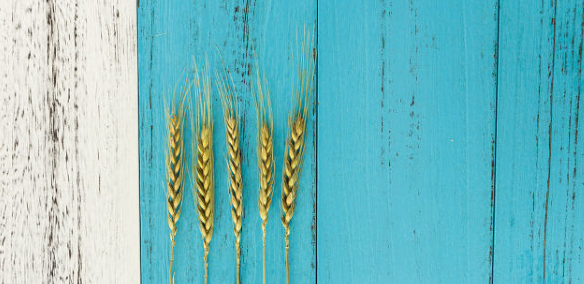 ��ɽƽ�������ѵ��֧����ʲô��������ѧ��ƽ�����