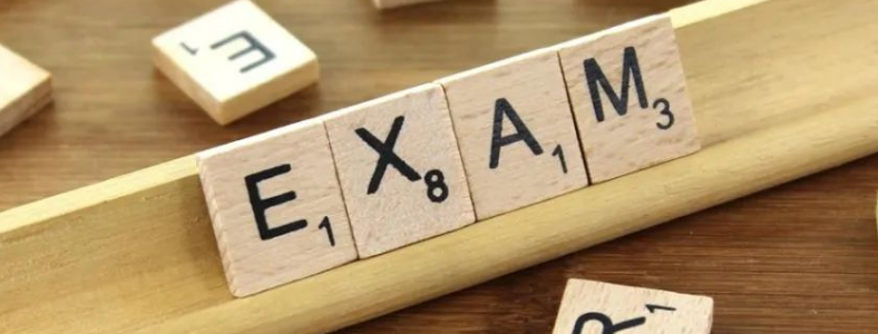 ʯ��ׯaleve�γ���ѵ