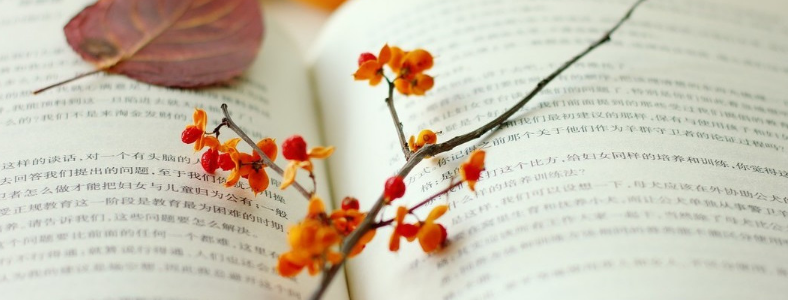 ���г���340������