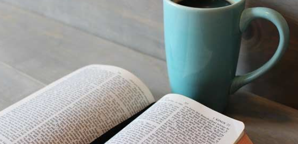 ����ʦ����ʲô��˼