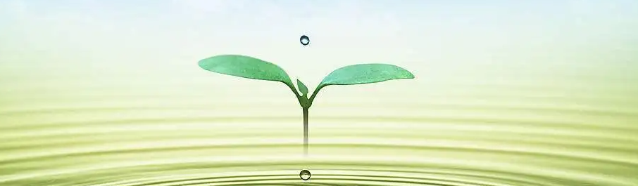 ��������ʦ��ȡ�����ľ�������