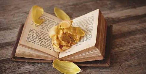 ˾��������ѵ�����Ƕ���