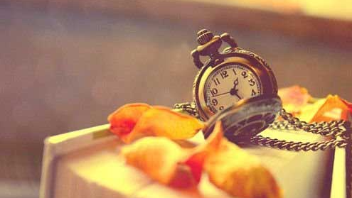 ʯ��ׯ�и���ѵ�и�������ôѡ��