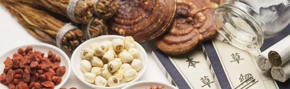 ��ҽ��������ʦ���﷢֤��Ȩ��