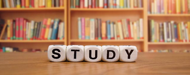 ѧϰ�ٶ����Scratch�ļ���ô�