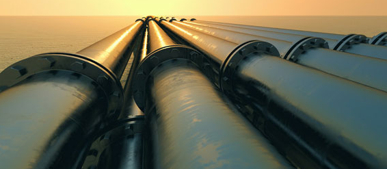 ��ѧ�����ı�������