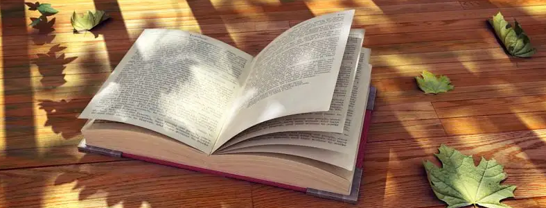 ���м�ѵӪ��һ��һ�ĸ���