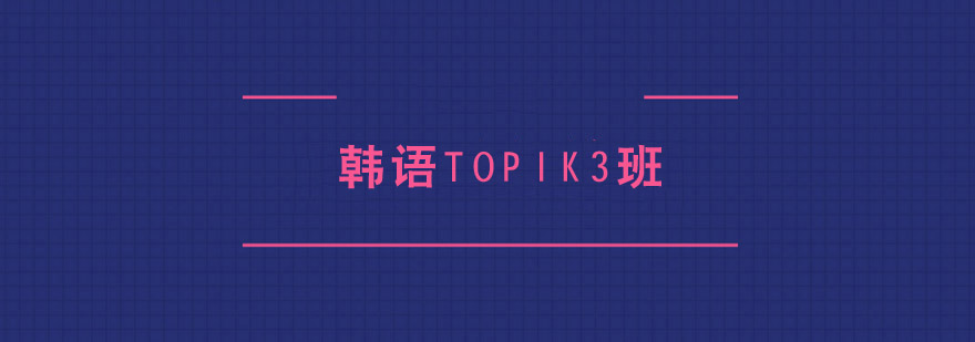 ����TOPIK3��ѵ��