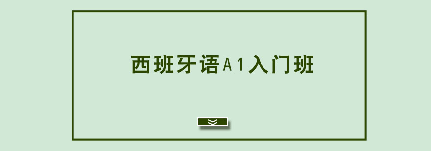 ��������A1������ѵ��