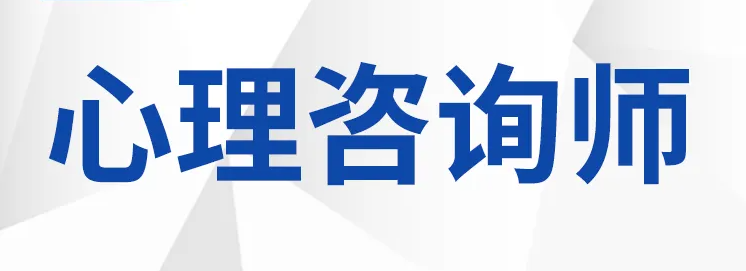 ������ѯʦ����Ҫ������