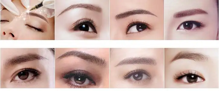 ���ﺫʽ��������ѵ