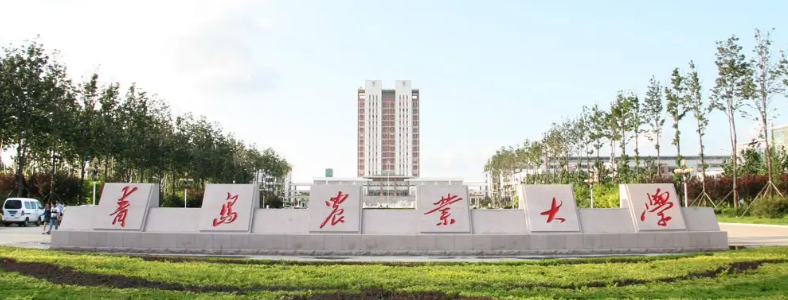 ũѧ���п��Կ���Щרҵ