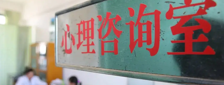 ������ѯʦ��ѵ��ѧ���ܿ�������ѯʦ��