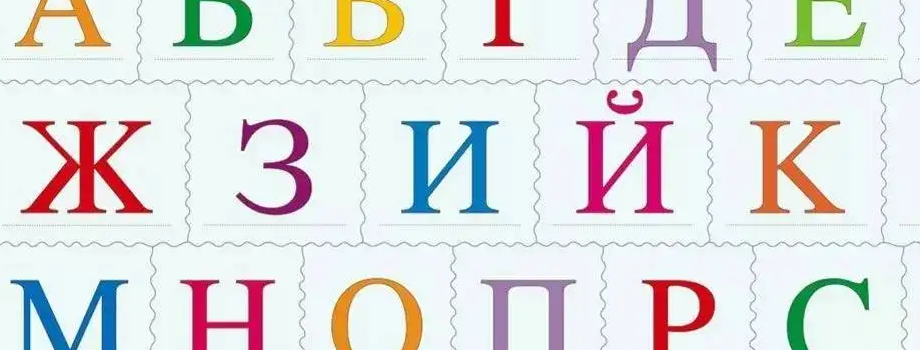 ʯ��ׯС������ѵ����������ôѧϰ?