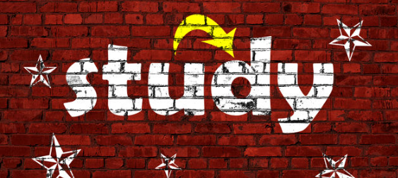 ʯ��ׯ��˼��ѵ��˼�Ķ�̫����ô��