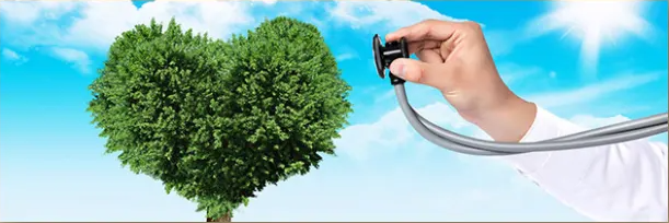 ������ѯʦ֤��ο�ȡ