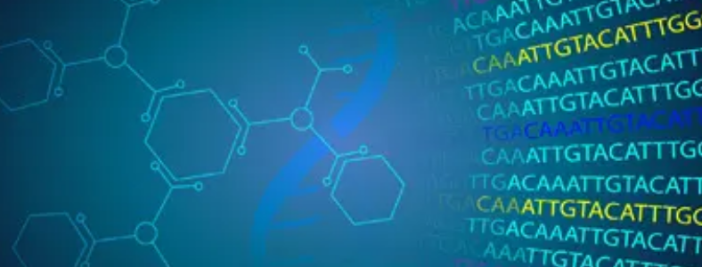 ������Ϣѧ���з���