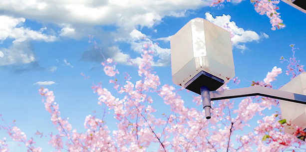 UI���Ҫѧ����ѧ