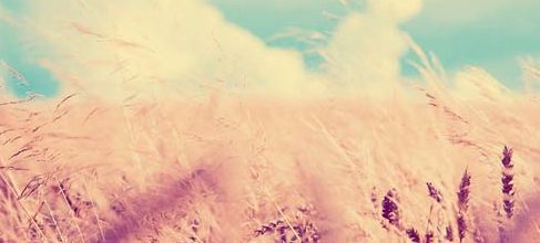 二建证多久能拿到