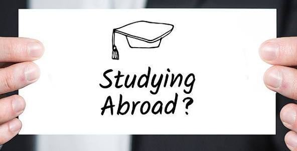 石家庄学英语四级成绩分布