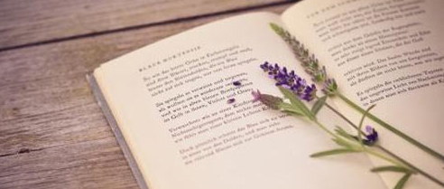 ��߿���Ӣ���Ķ�����