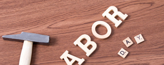 ����Ӣ�����ôѧ